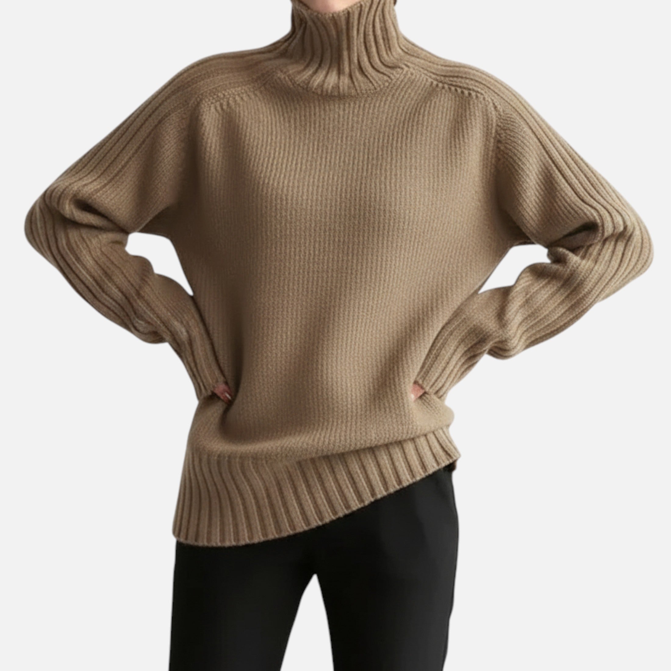 Orvelle Club | Women’s Knit Turtleneck Sweater Solid Colour Style